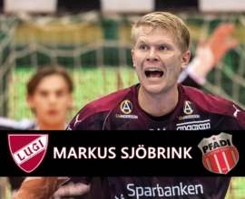Sjoebrink