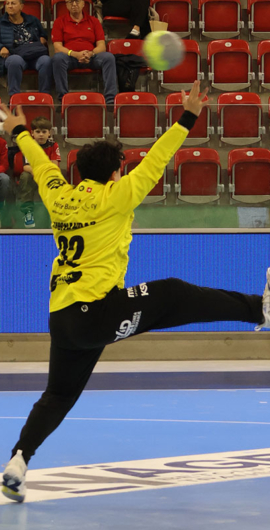 Ramon Kusnandar